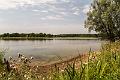 2017_07_31_Etang de Vaux (0008)